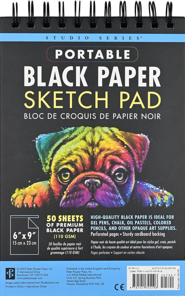 Studio Series Portable Black Paper Sketch Pad 6 X 9 Inches (50 Pe (Spiral Bound)