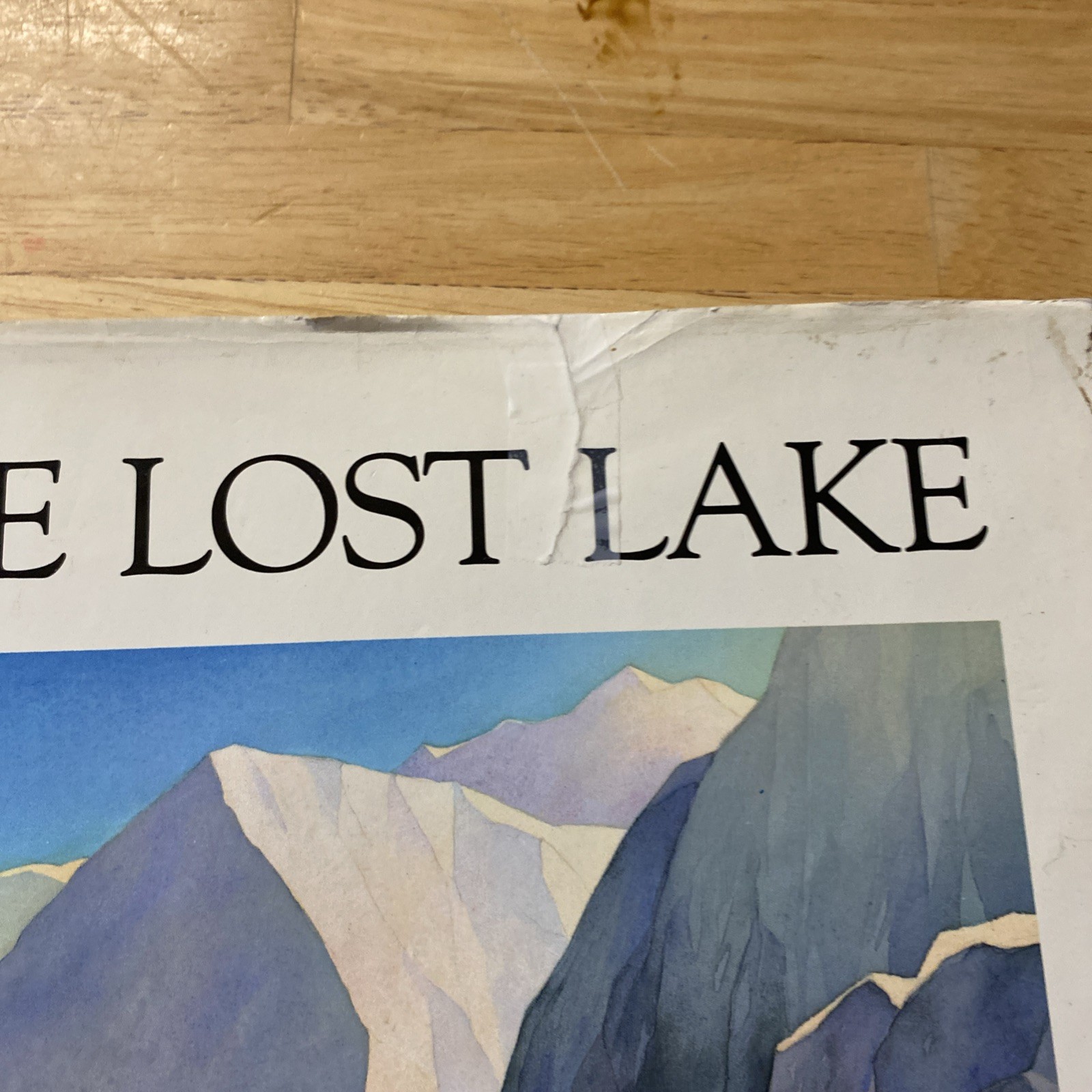 Lost Lake by Allen Say (1989, Hardcover)