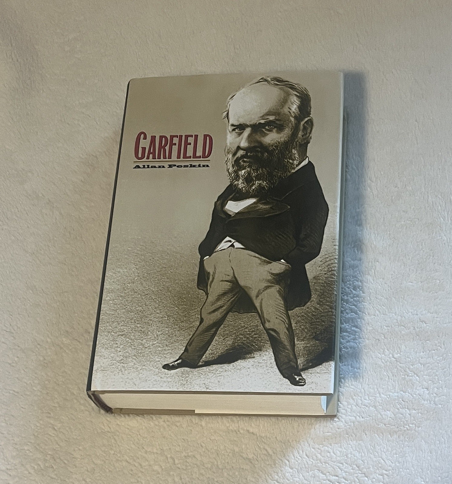 Garfield Hardcover Allan Peskin